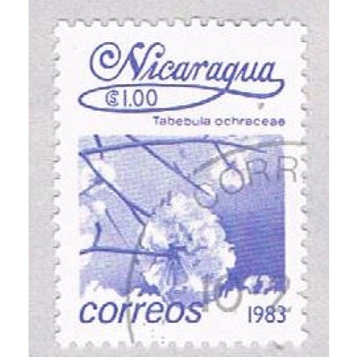 Nicaragua Flower purple 100 (AP117017)