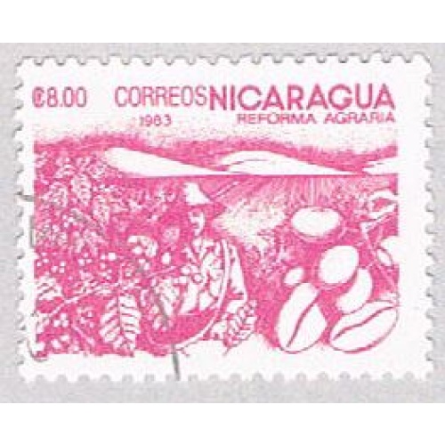 Nicaragua Agriculture 800 (AP117104)