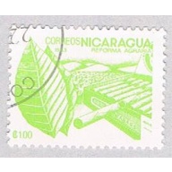 Nicaragua Tobacco 1 (AP117109)
