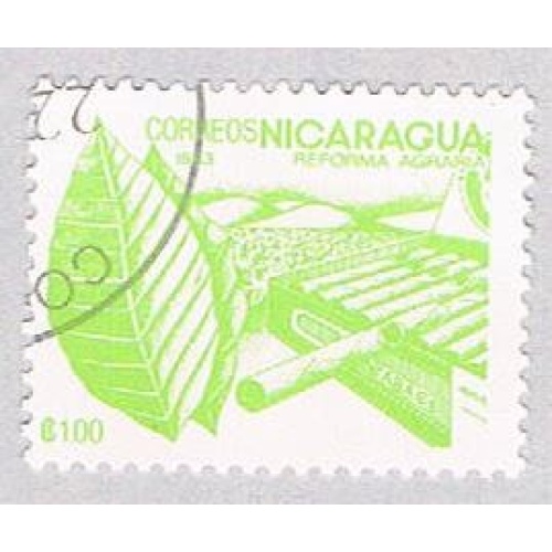 Nicaragua Tobacco 1 (AP117109)