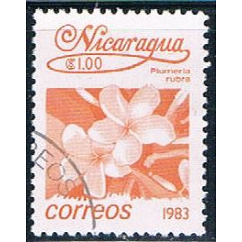 Nicaragua Flower 1 orange (NP7R301)