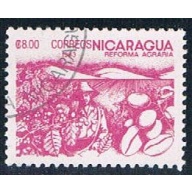 Nicaragua Coffee 8 (NP7R302)