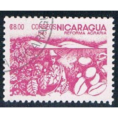 Nicaragua Coffee 8 (NP7R302)
