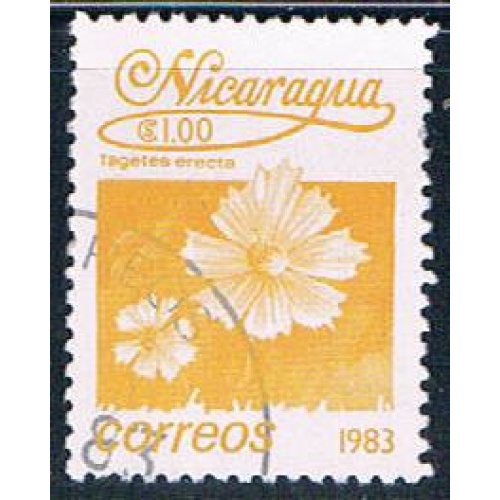 Nicaragua Flower 1 yellow (NP7R303)