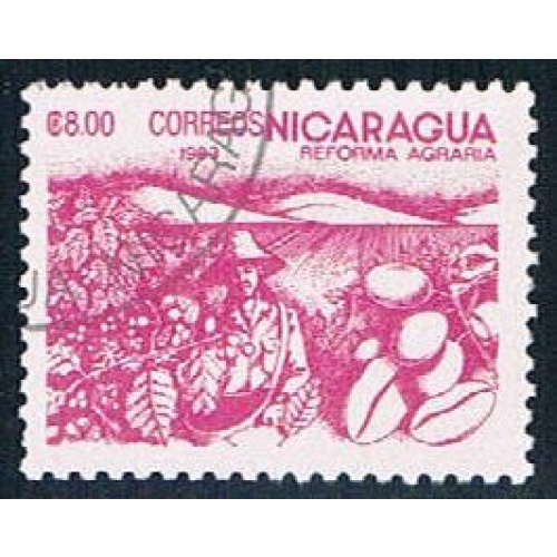 Nicaragua Coffee 8 (NP7R401)