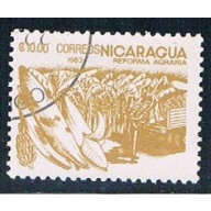 Nicaragua Corn 10 (NP7R403)