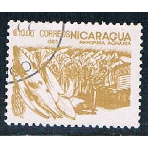 Nicaragua Corn 10 (NP7R403)