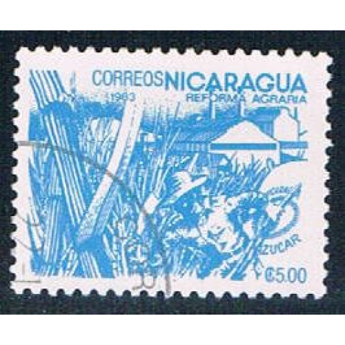 Nicaragua Sugar cane 5 (NP7R404)