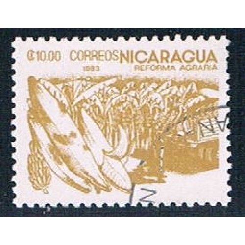 Nicaragua Banana 10 (NP7R503)