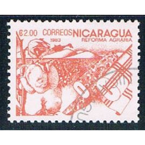 Nicaragua Cotton 2 (NP7R504)
