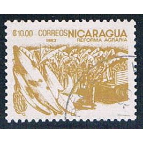 Nicaragua Corn 1000 (NP7R606)