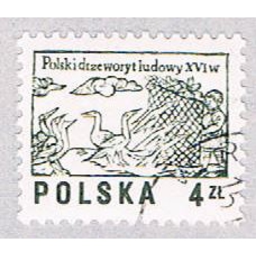 Poland Ducks 4 (AP112725)