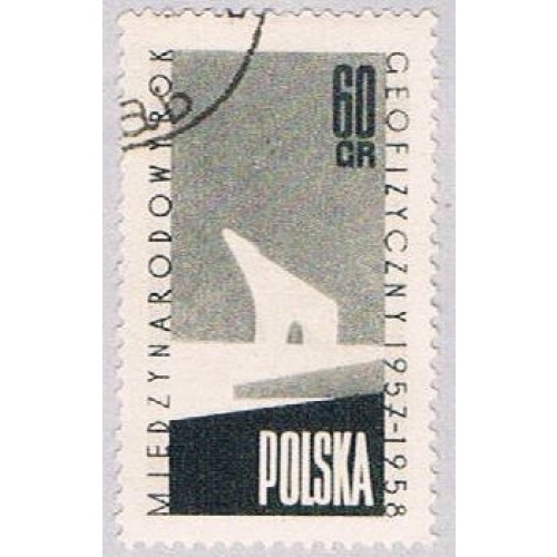 Poland Polar Bear 60 (AP114107)