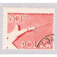 Poland Fencing 60 (AP114528)