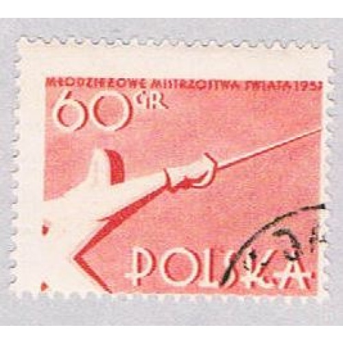 Poland Fencing 60 (AP114528)