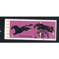 Poland Horses 90 (AP115206)