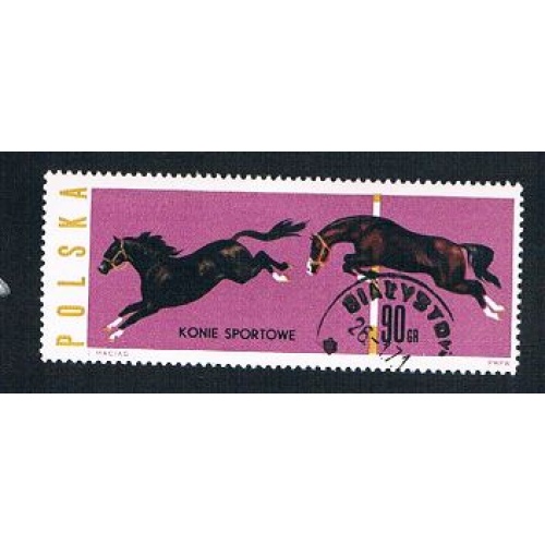Poland Horses 90 (AP115206)