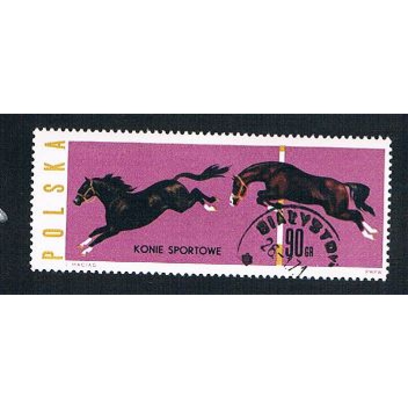 Poland Horses 90 (AP115206)