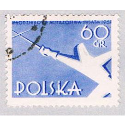 Poland Fenceing 60 (AP115302)