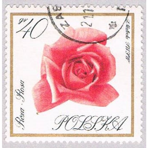 Poland Flowwers 40 (AP115811)