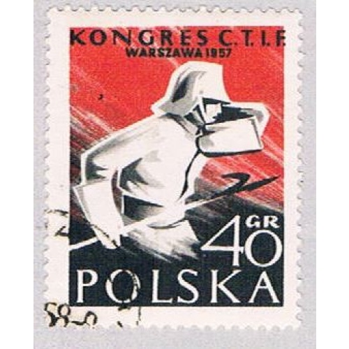 Poland Warrior 50 (AP115911)