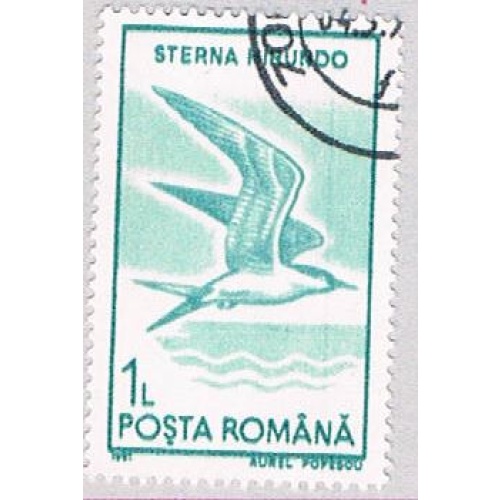 Romania Tern 1 (AP107209)
