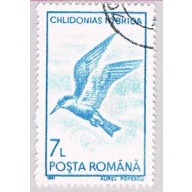 Romania Gull 7 (AP108308)