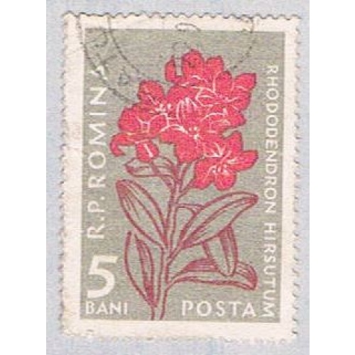 Romania Flower 55 (AP114010)