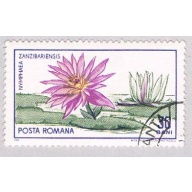 Romania Flower 30 (AP114402)