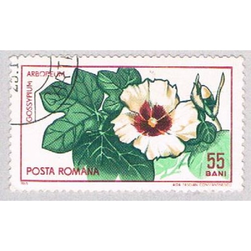 Romania Flower 55 (AP114403)
