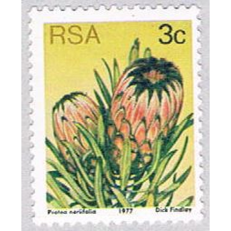 South Africa Flowers 3 (AP116030)