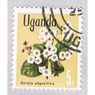 Uganda Flower (AP101330)