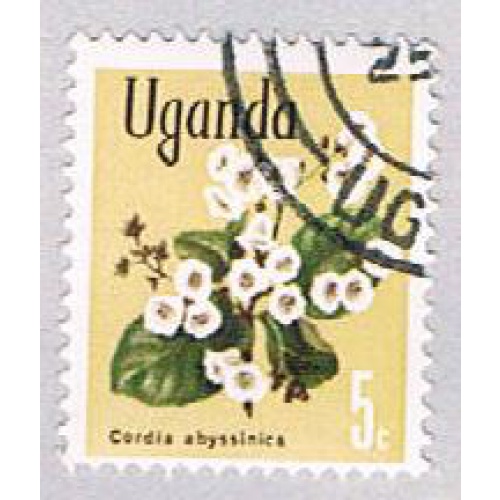 Uganda Flower (AP101330)