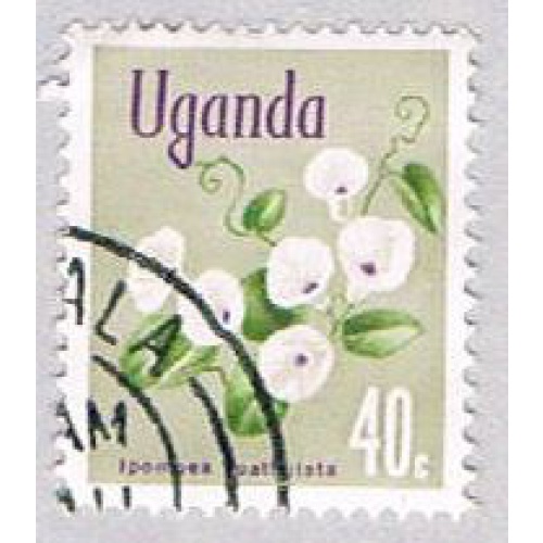 Uganda Flower 40 (AP119215)