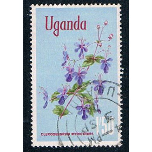Uganda flower (UP22R403)