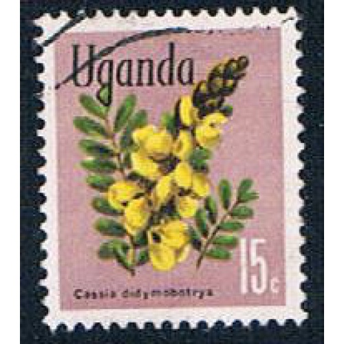 Uganda flowers (UP24R102)