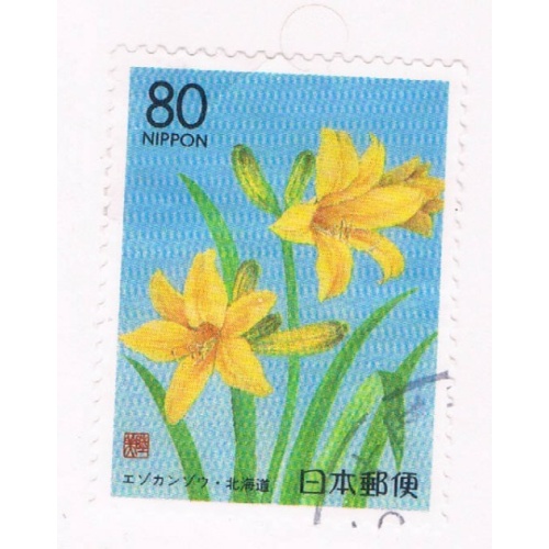 Japan Prefecture Used Z306 Daylily CV .75 (JZ594)+