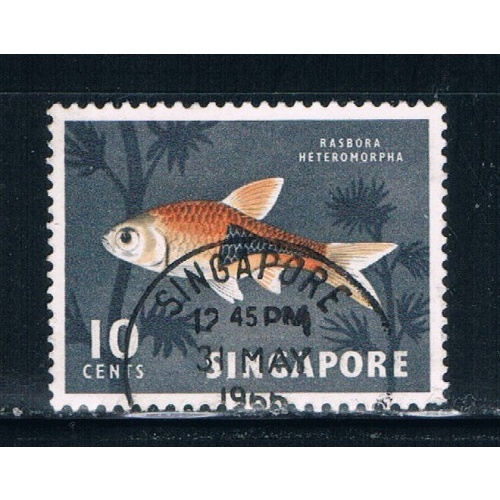 Singapore  57 Used Tropical Fish (S0272)