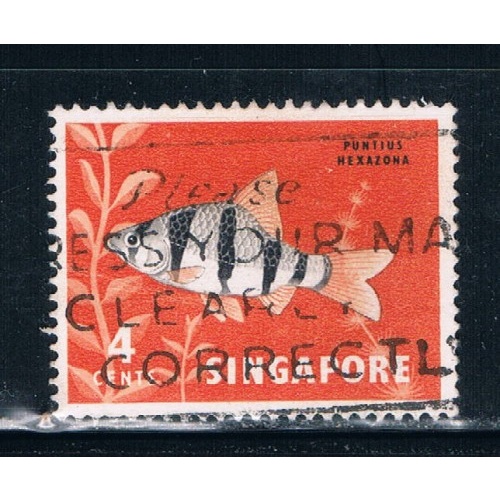 Singapore  54 Used Tropical Fish (S0274)