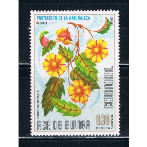 Equatorial Guinea Unused Flower Hibbertia Dentata (ML0335)+